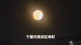 【千葉市美浜区幸町】所在調査・安否確認|調査報告